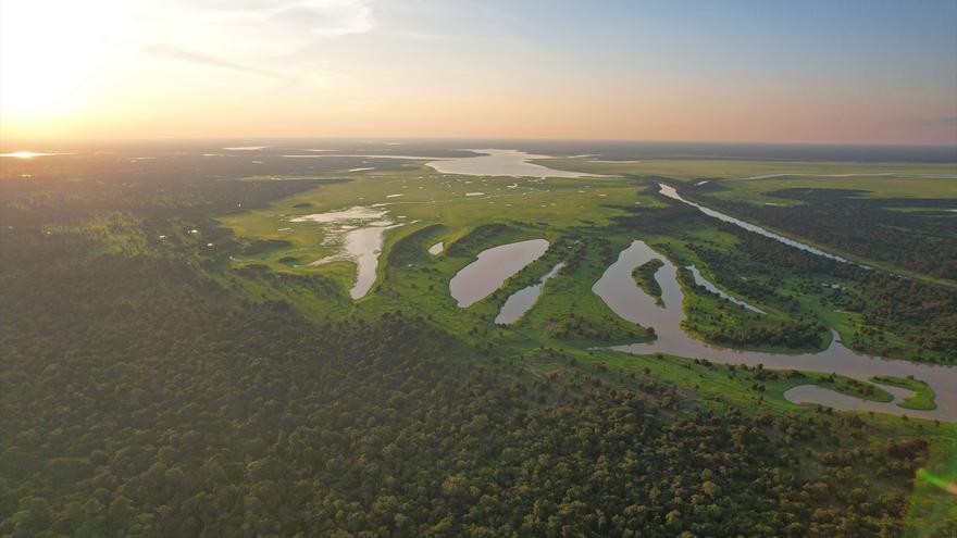 La conservación de la Amazonia en Brasil genera más crecimiento que el modelo actual de explotación