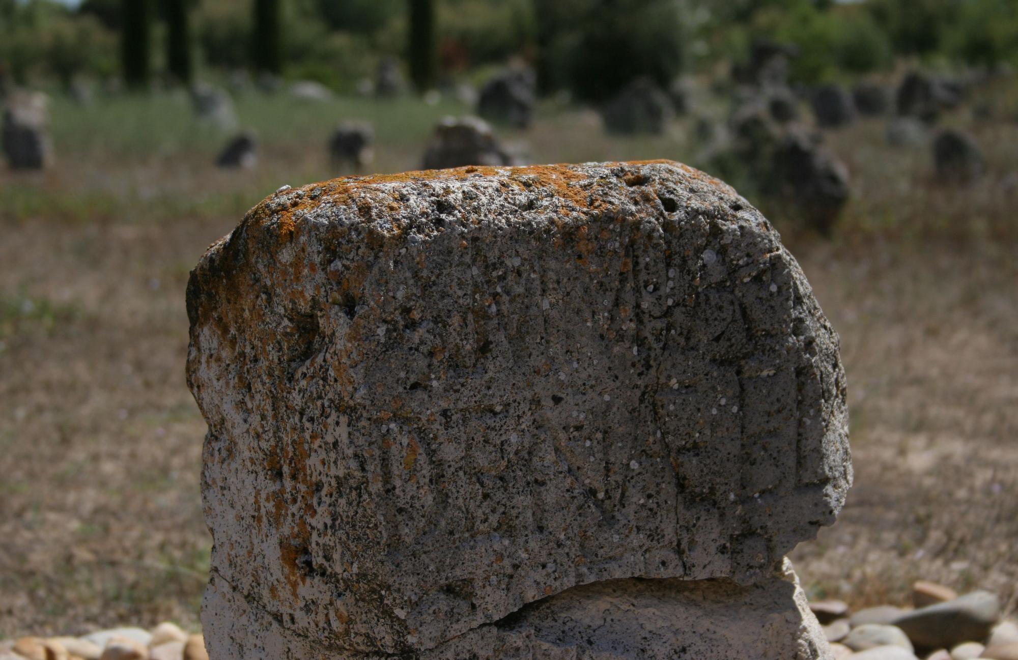 Estela de cronología romana situada en la necrópolis vaccea de Las Ruedas